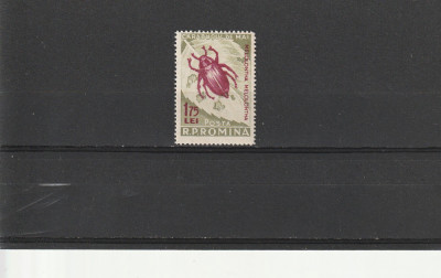 Carabus culoare schimbata 1956 ,nr lista 413a , Romania. foto