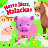 Merre j&aacute;rsz, Malacka?