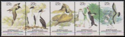 ANTARCTICA AUSTRALIANA - 1983 - FAUNA DIFERITA foto