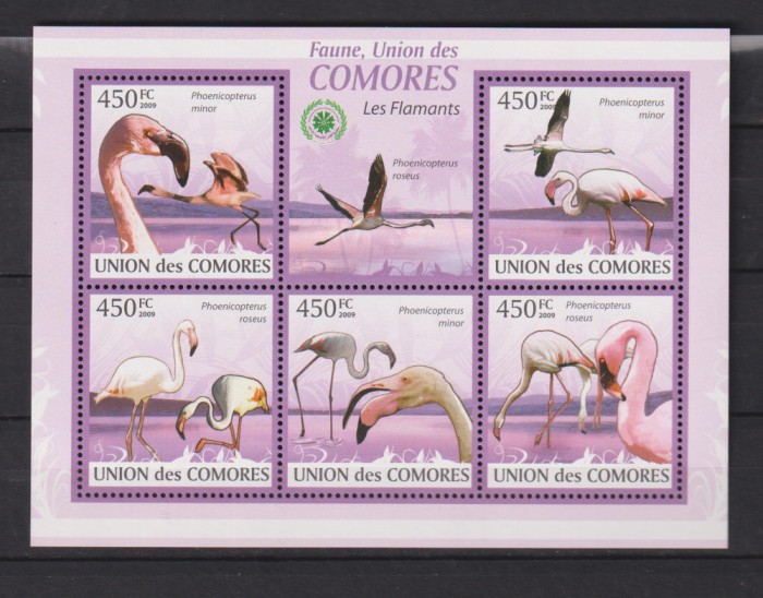 UNION DES COMORES 2009 FAUNA PASARI MI: 2352-2416 MNH 4 SCAN