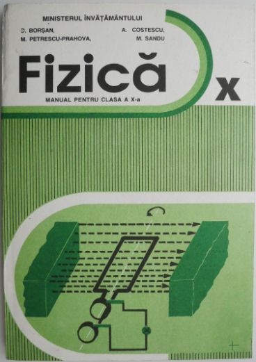 Fizica. Manual pentru clasa a X-a &ndash; D. Borsan (cartonata, 1993)