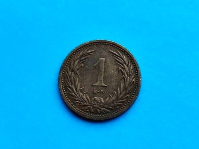 1 Filler 1895 Ungaria-RAR- foto