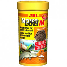 JBL NovoLotl M 250ml, 3035400, Hrana Axolotl 150gr foto