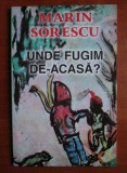 Marin Sorescu - Unde fugim de-acasa?