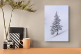 Tablou Canvas, "Singurătatea bradului &icirc;n zăpadă albă", Alb, &Icirc;nghețat, Solitar, Tăcut, Rece, Iernatic, Singuratic, Pur, Frig, Izolat, 26 x 39 cm, CMCLA