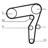 Curea de distributie Contitech CT995 Fiat Marea Weekend Brava Bravo 1 Doblo Doblo Cargo Marea Kappa Sw Palio Weekend Punto Punto Van St