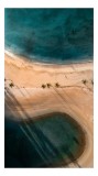Ocean și palmieri pe plajă pustie, 26 x 39 cm, CMCLASS
