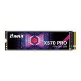 Hard Disk Biwin X570 Pro 2 TB SSD