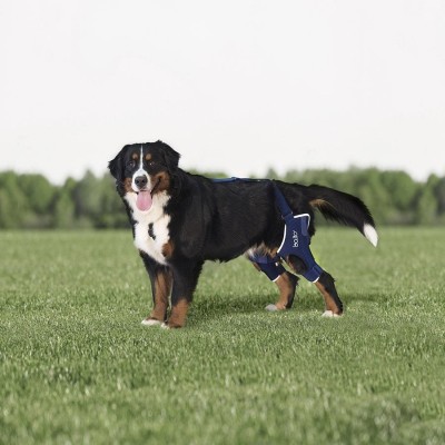 Balto - Orteză dublă pentru genunchi pentru c&amp;acirc;ini M foto