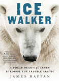 Ice Walker: A Polar Bear&#039;s Journey Through the Fragile Arctic
