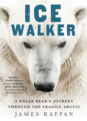 Ice Walker: A Polar Bear&amp;#039;s Journey Through the Fragile Arctic foto