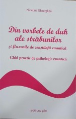Din vorbele de duh ale strabunilor si fluxurile de constiinta cuantica. Ghid practic de psihologie cuantica - Niculina Gheorghita