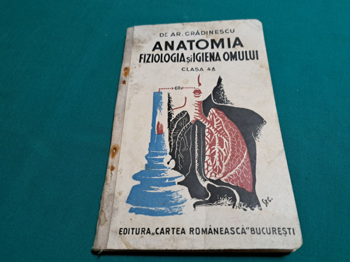 ANATOMIA FIZIOLOGIA ȘI IGIENA OMULUI / CLASA A 4-A /AR. GRĂDINĂRESCU /1935 *