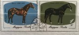 (B ) Timbre serii Straine tema Animale Ungaria, Stampilat
