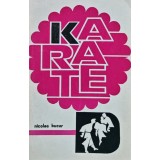 Karate - 1972 - Nicolae Bucur (F456)