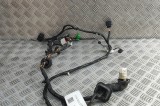 Cablaj ușă dreapta față ASTON MARTIN VANTAGE Coupe 2006 OEM: 6G33-14631-AE 31220429