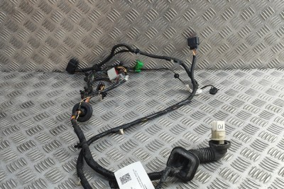 Cablaj ușă dreapta față ASTON MARTIN VANTAGE Coupe 2006 OEM: 6G33-14631-AE 31220429 foto