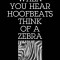 When You Hear Hoofbeats Think of a Zebra: Talks on Sufism