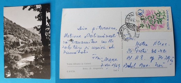 Carte Postala frumos circulata veche anul 1968 - Valea Oltului la Cornet