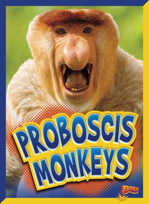 Proboscis Monkeys foto