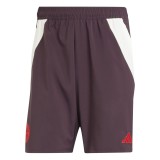 Bayern M&uuml;nchen pantaloni scurți de fotbal Downtime - L, Adidas