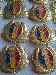 Insemne militare foto