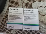 Flamexin piroxicam 30 comprimate foto