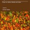 Implications of pluralism Essays on culture, identity and values Goran Collste