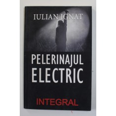 PELERINAJUL ELECTRIC de IULIAN IGNAT , 2020