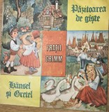 Vinil 6 Vinyl Electrecord - Fratii Grimm