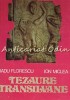 Tezaure Transilvane - Radu Florescu, Ion Miclea - Album Pictura, Meridiane 1979, 104 pagini, Arta Romaneasca
