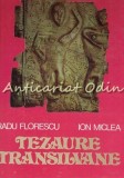 Tezaure Transilvane - Radu Florescu, Ion Miclea - Album Pictura, Meridiane 1979, 104 pagini, Arta Romaneasca