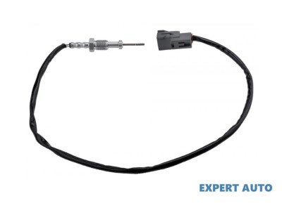 Senzor temperatura gaze dpf Suzuki GRAND VITARA II (JT) 2005-2015 foto
