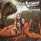 CD Limp Bizkit - Gold Cobra 2011