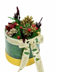 Mini aranjament de Craciun cu licheni si elemente naturale (Multicolor) foto