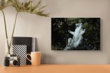 Tablou Canvas, "Lemurul &icirc;n meditație la apus", Scaun, Lemur, Meditație, Relaxare, Natură, Copac, Lumini, Umbre, Blană, Postură, 39 x 26 cm, CMCLASS