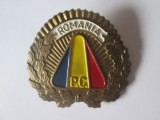 Insigna/cuc cascheta Politia Comunitara anii 2000