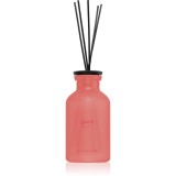 &iacute;puro Classic Orchid&eacute;e difuzor de aroma 240 ml