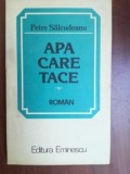 Apa care tace- Petre Salcudeanu