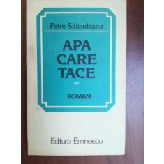 Apa care tace- Petre Salcudeanu