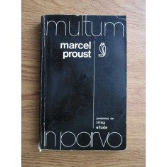 Irina Eliade - Marcel Proust