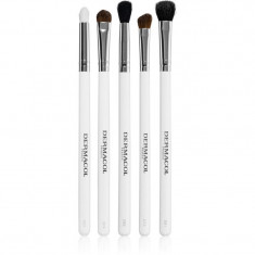 Dermacol Accessories Master Brush by PetraLovelyHair set perii machiaj fard de ochi Silver 5 buc