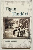 Tigan Tandari, Valeriu Nicolae, stare foarte buna, Asociatia Casa Buna, 2022