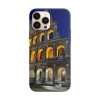 Husa compatibila cu Apple iPhone 12 Pro Max model The Colosseum,Silicon, Tpu, Viceversa, Transparent, Carcasa