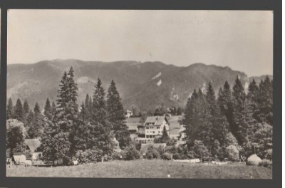 CPIB 19221 CARTE POSTALA - TIMISUL DE SUS. VEDERE SPRE PIATRA MARE, RPR foto