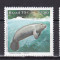 Brazilia 1979 fauna marina MI 1709-1711 MNH