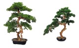 Set 2 Bonsai artificiali 32 x 23 x 88 cm