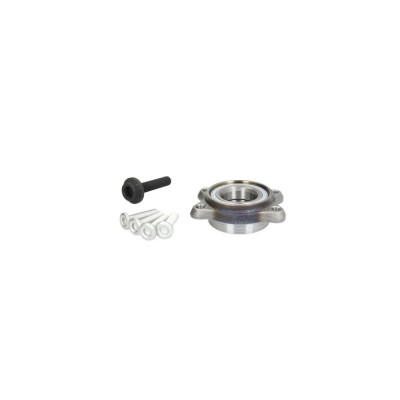 Set rulment roata AUDI A6 Allroad 4FH C6 BTA H1A010BTA foto