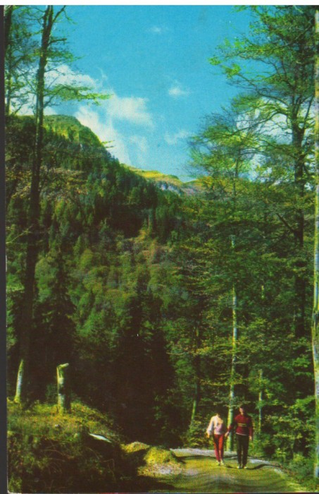 CPI B14842 - CARTE POSTALA - SINAIA. IN DRUM SPRE &quot;COTA 1400&quot;