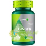 Ghimbir 300mg 90cps